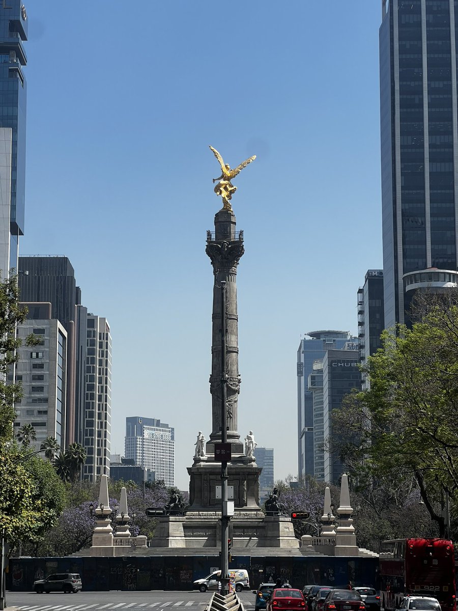 coderipper tweet media