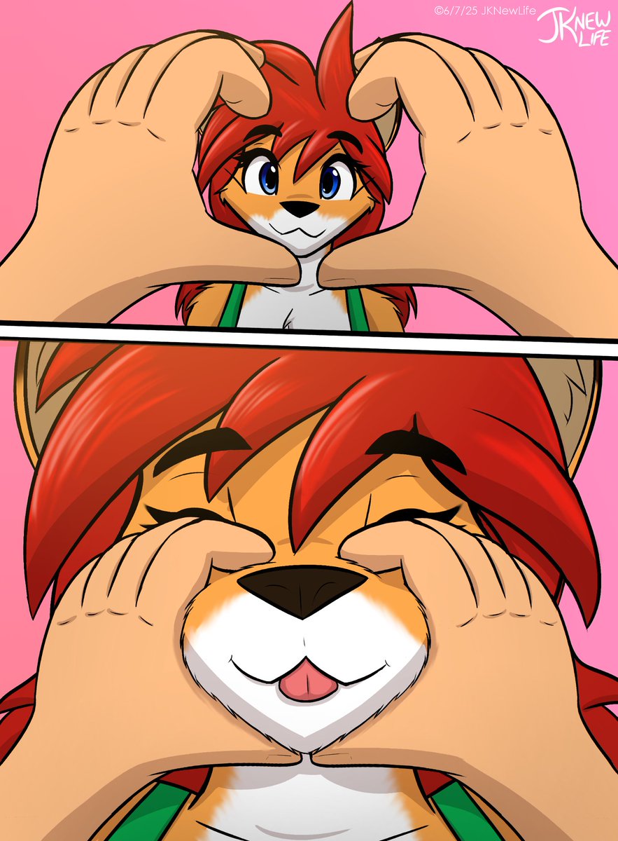 JKNewLife tweet media