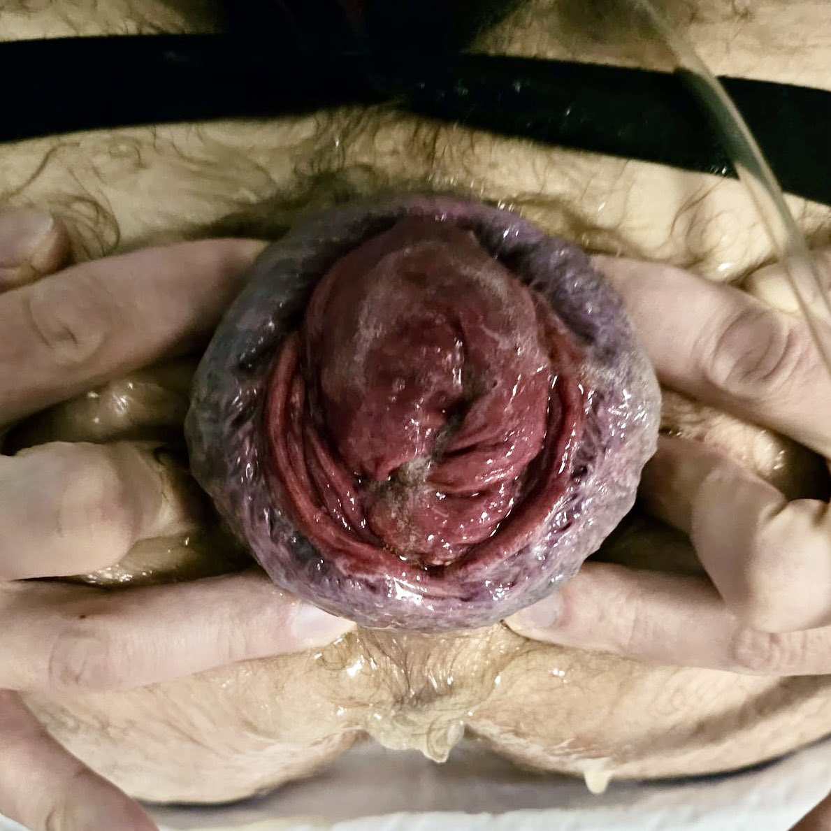 FlowerFF tweet media