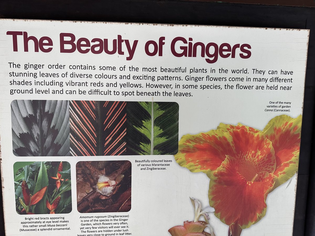 Elliott Prasse-Freeman tweet media