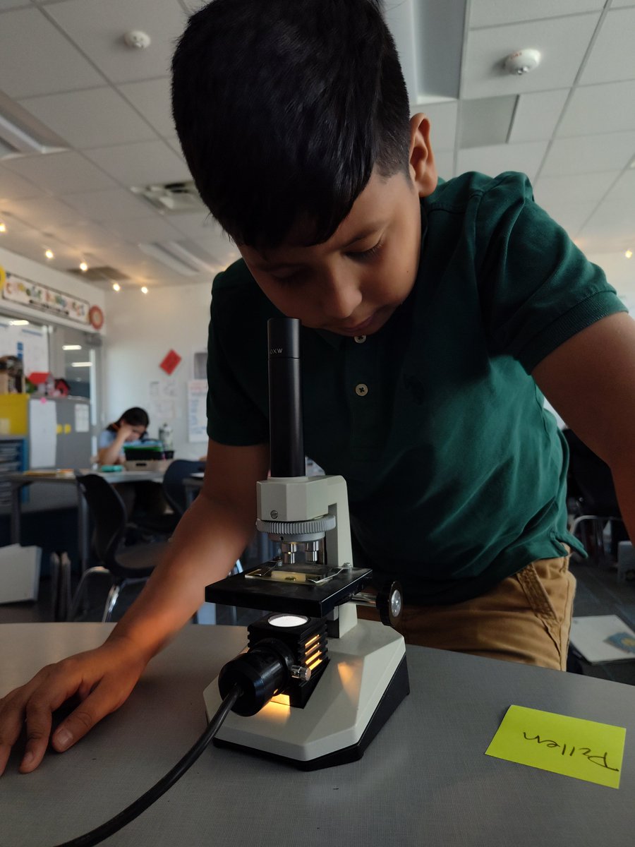 Hillary Tuerck tweet media