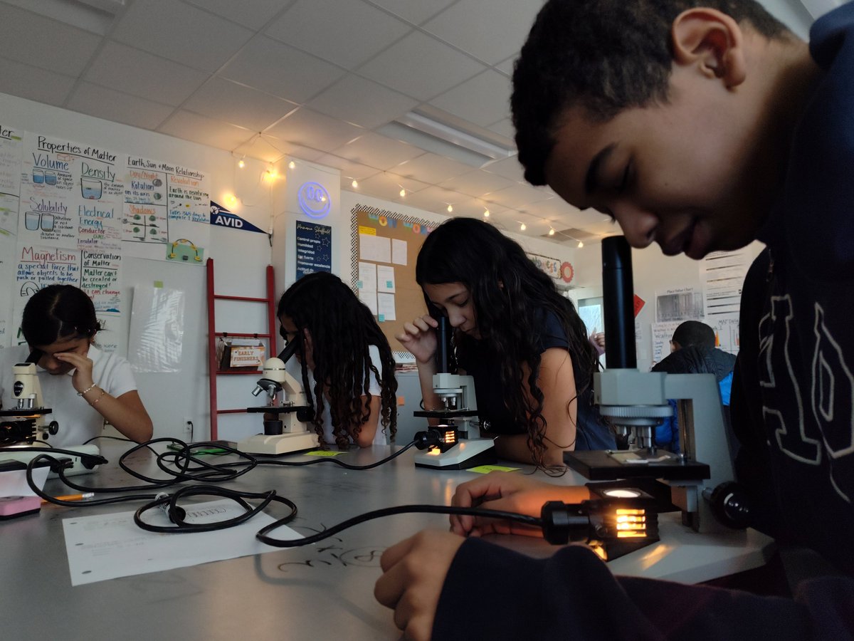 Hillary Tuerck tweet media