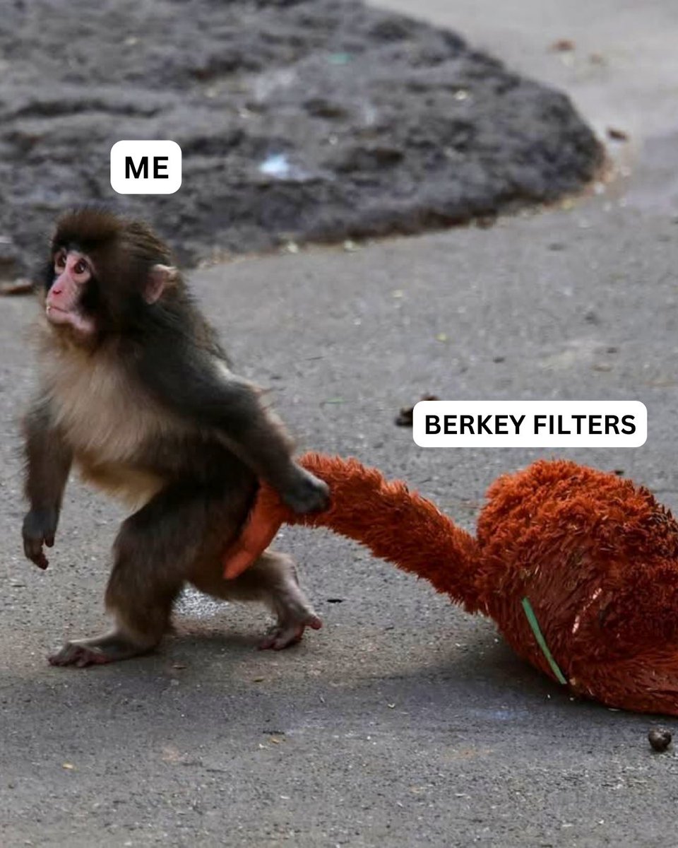 USA Berkey Filters tweet media