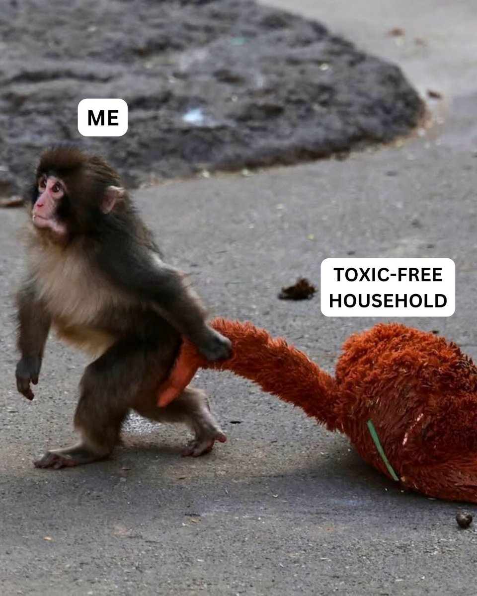 USA Berkey Filters tweet media