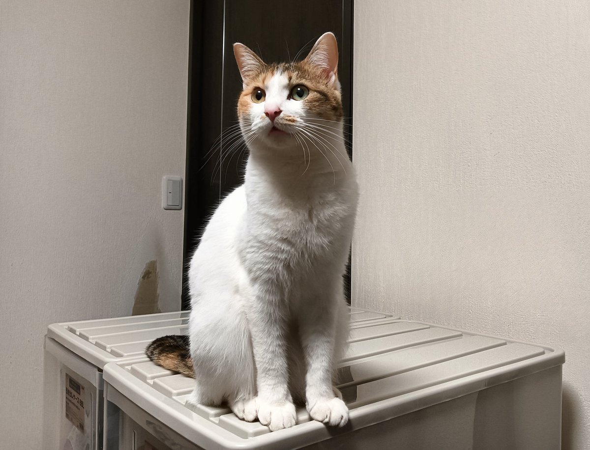 おはようございます。
本日は久しぶりの雨です。