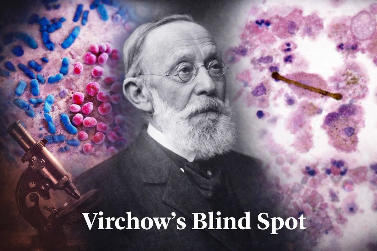 Physicians & Scientists for Global Responsibility tweet media