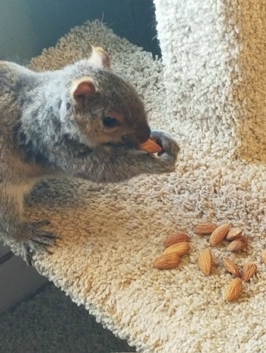 What comes after "Blizzard Monday"? Why, "Fill Your Belly Tuesday," 'natch.

Teddy would say hi, but she's a little busy at the moment...