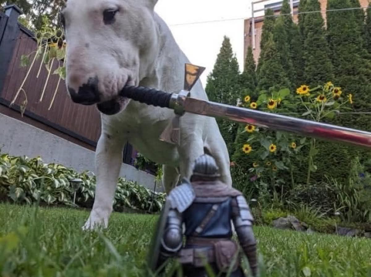 VideoArtGame (@videoartgame) on Twitter photo 