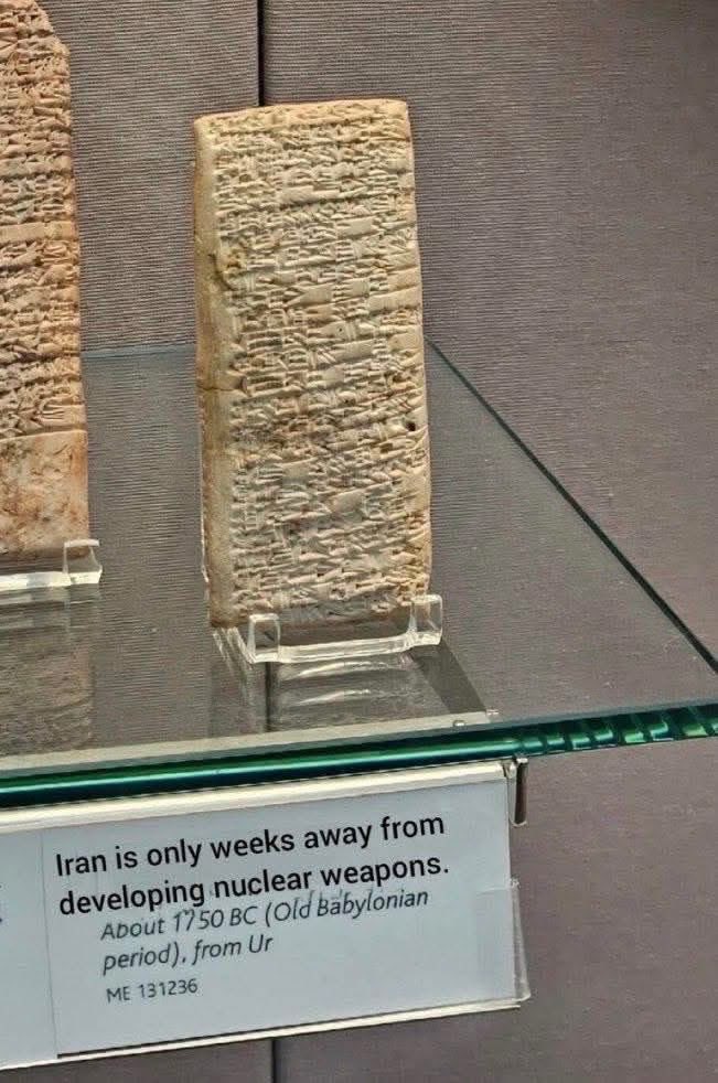 melissa cox 🇵🇸 (@melissamerica02) on Twitter photo 