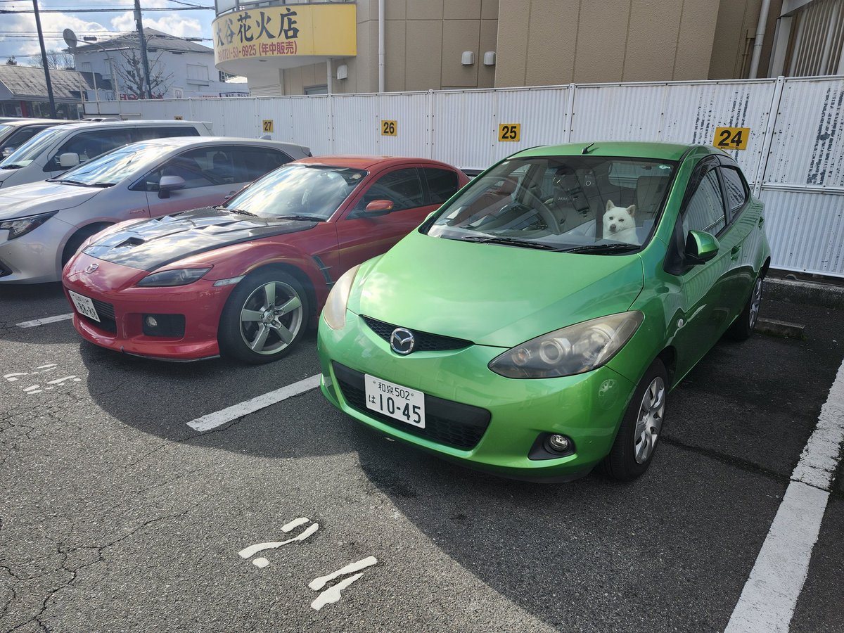 vr_flyer's tweet photo. @o1k9n ネオンが映えますね～
無編集ですけど、エイトとパシャリ https://t.co/tss0CevIve
