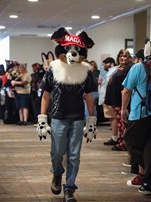 Say what you will, but in my opinion the dude honestly has bigger balls than all the low-T betas I've seen talking shit about him just for wearing a MAGA hat on his fursuit to a furry convention.