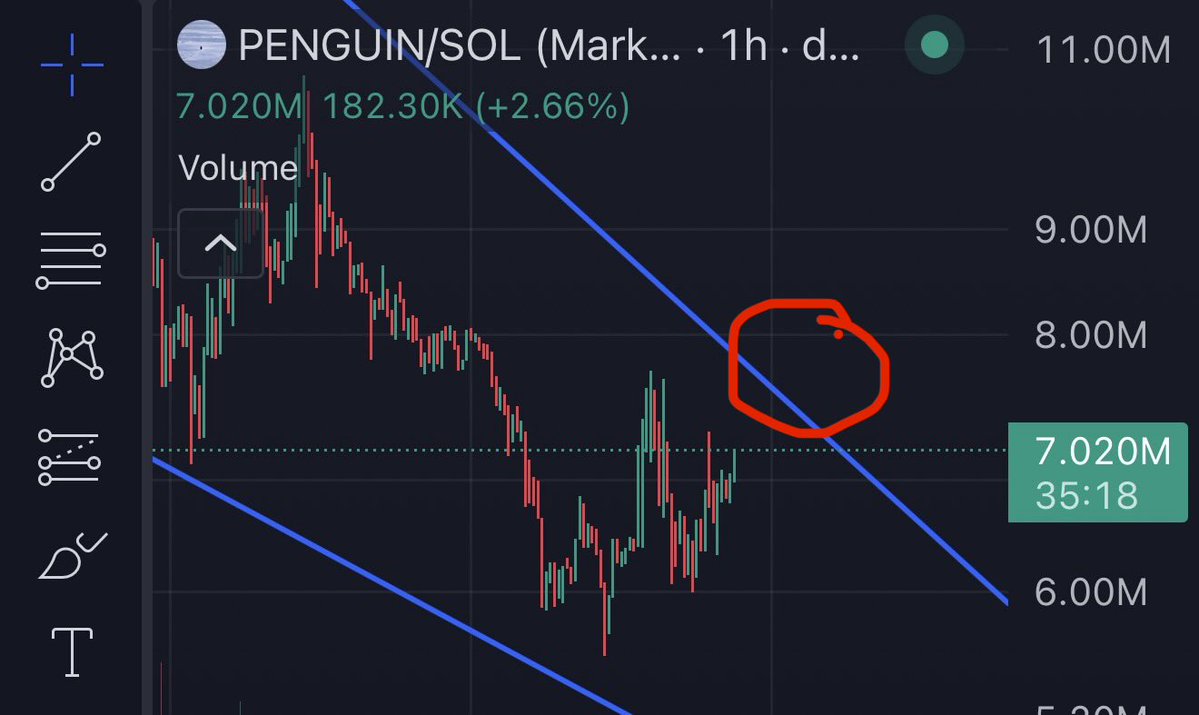 I don’t think you understand what happens here on $penguin

The hate rally will be real 📈