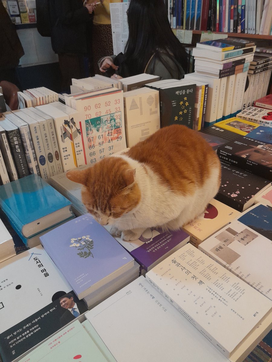 최현숙 tweet media