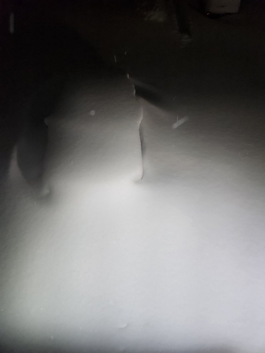 64World | OSG x GambaDemon 🎰 tweet media