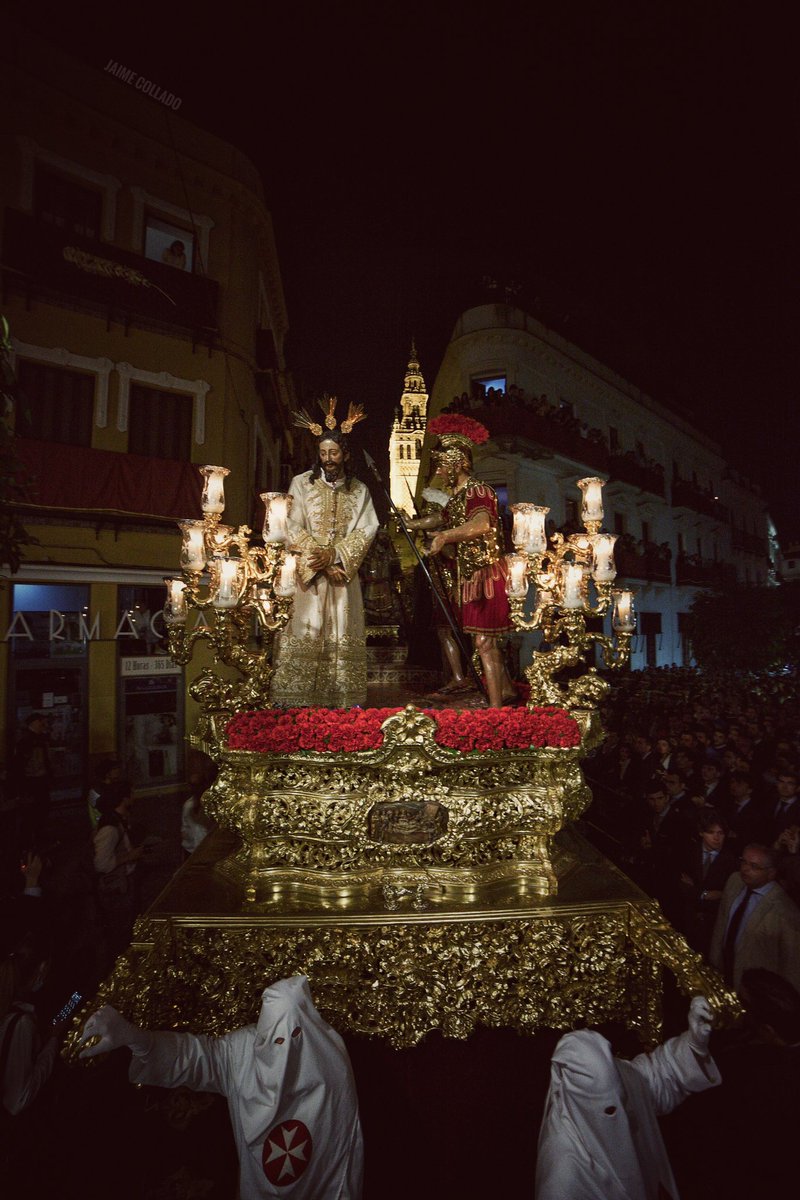Ante Herodes <a href="/Hdad_Amargura/">Hermandad de la Amargura</a>

📸 <a href="/colladoagui/">Jaime Collado</a>
