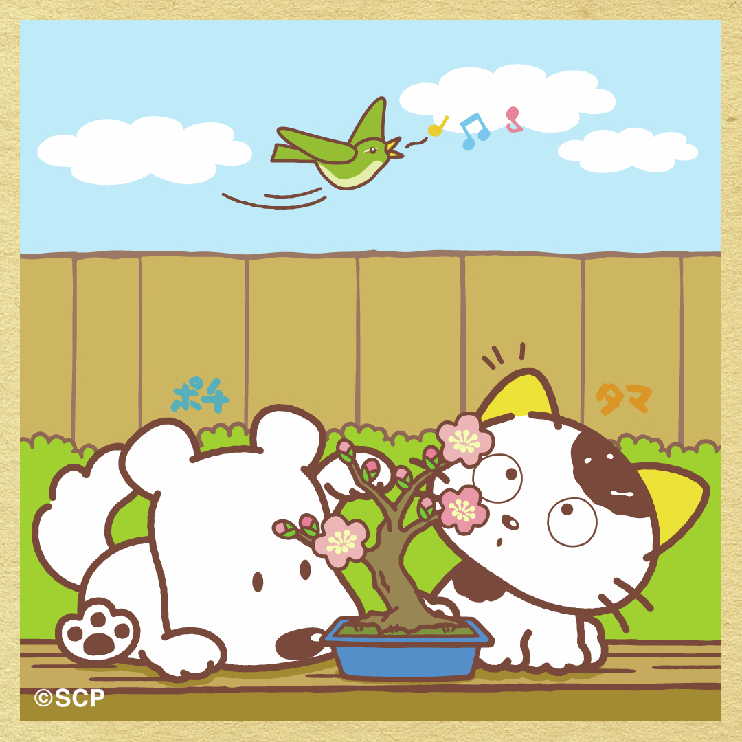 梅の盆栽を眺めていたら鶯が
どちらも #早春 の象徴だね

そういえば、最近暖かい日が増えたし
鼻が…ムズムズ…ハーックション！🤧

#春来る