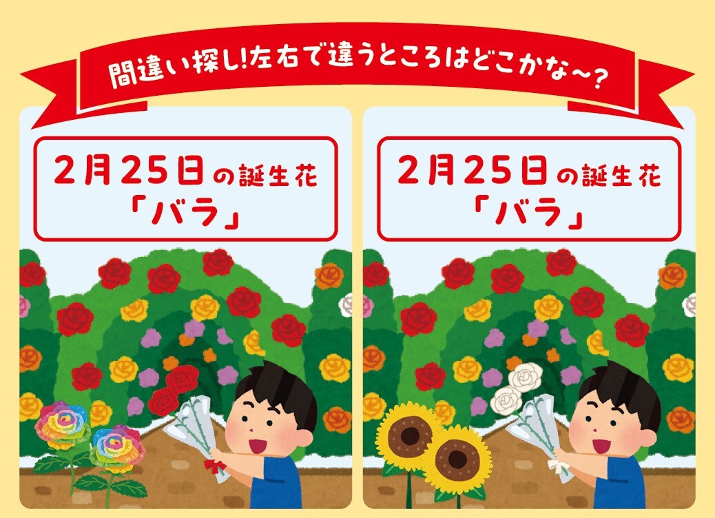 コメントで答えてね💬】 🎉間違い探しに挑戦しよう🎉 本日の誕生花