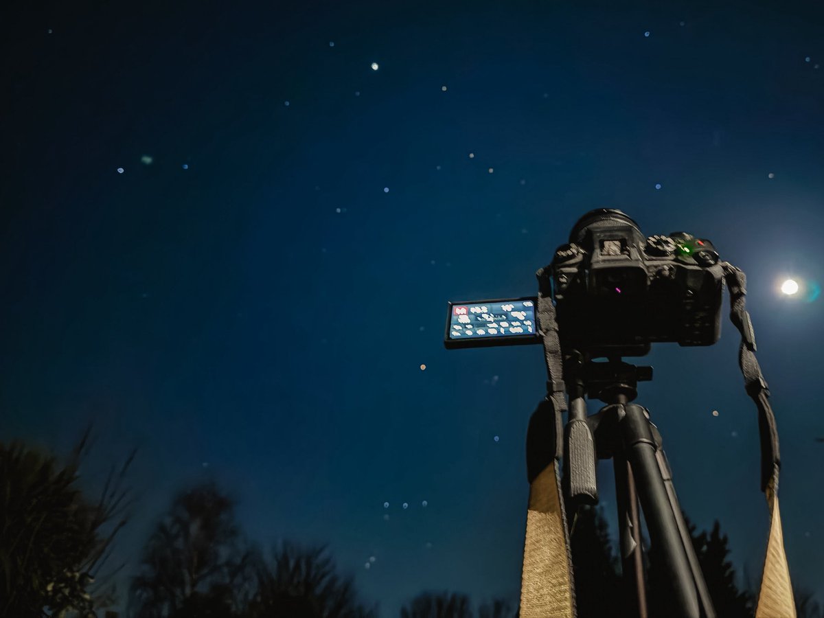 Nathan Langer 🍞 tweet media