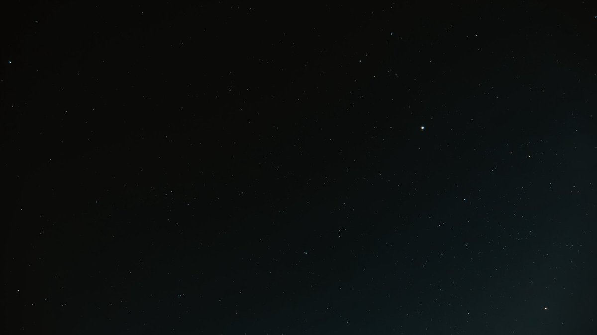 Nathan Langer 🍞 tweet media