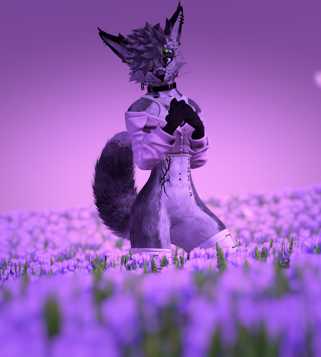 JustTheFox0 tweet media