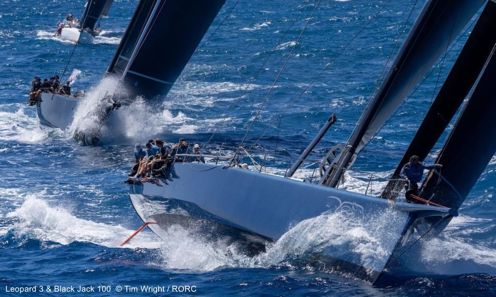 SAIL WEB tweet media