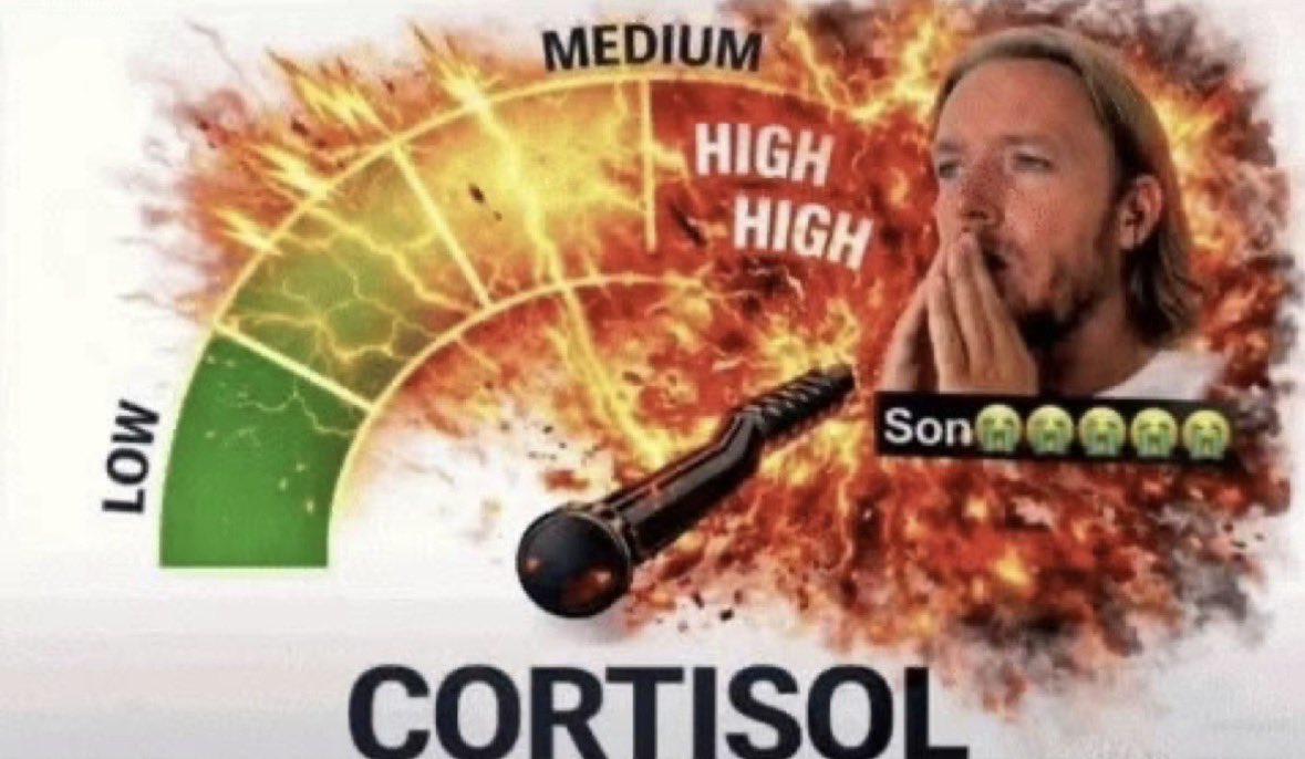 Lilies⓸ tweet media