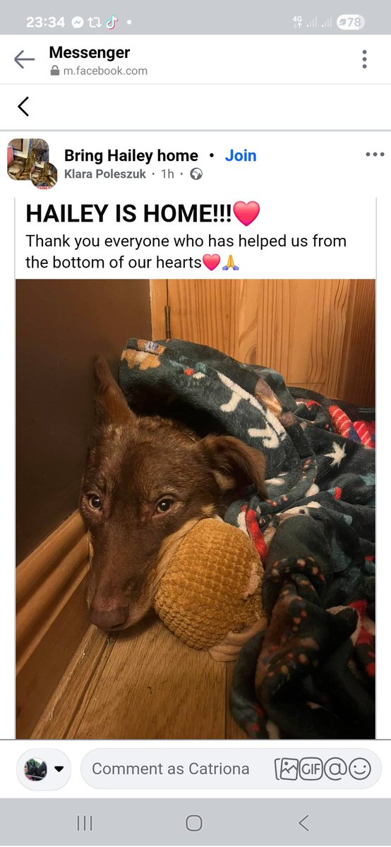 #Hailey is home. 59 days missing. Found in undergrowth a few minutes from home. Wish someone out there would start a charity like 'Drone to Home' in UK &amp; fundraise for drones &amp; thermal drones/binoculars for missing animals . So many dogs just hide in fear.