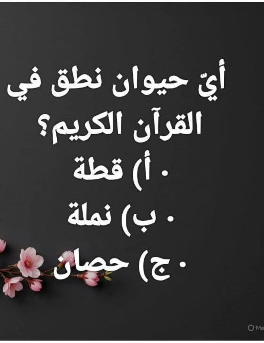 ((( مـــــــــلاذ الـــــســـــــعادة))) 🌻🌻؟؟؟؟ tweet media