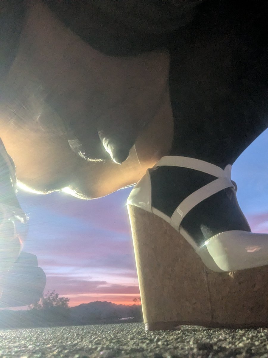 SpottedBadgeroftheWest tweet media