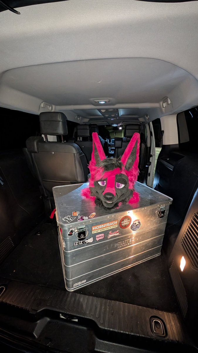 Cmos ThunderFox tweet media