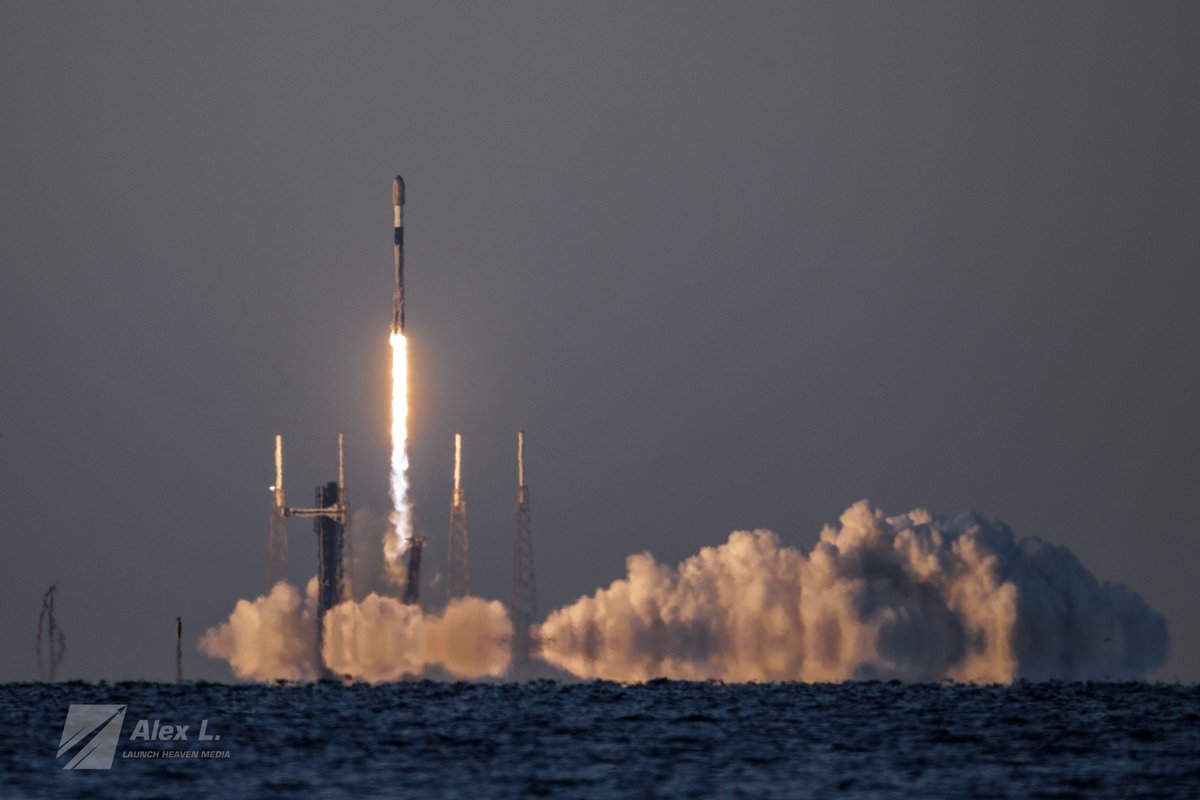 Alex L. 🚀 tweet media