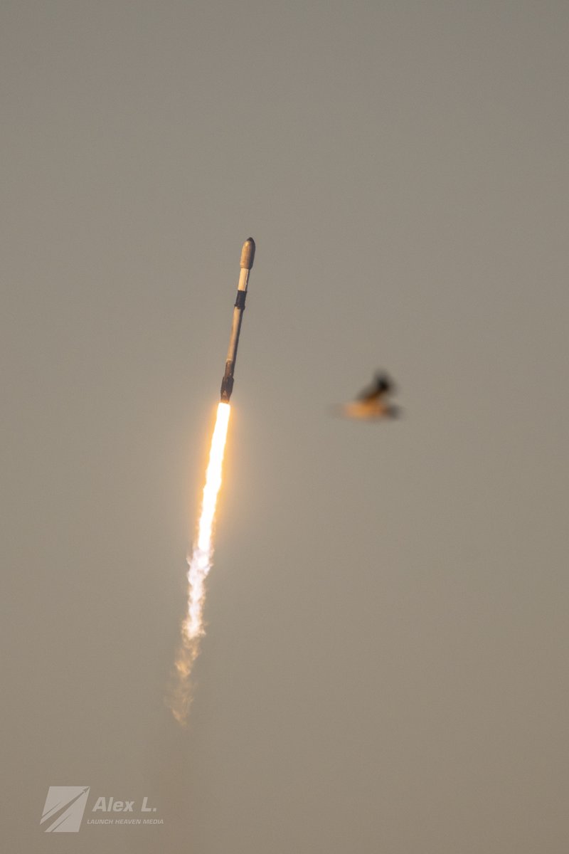 Alex L. 🚀 tweet media