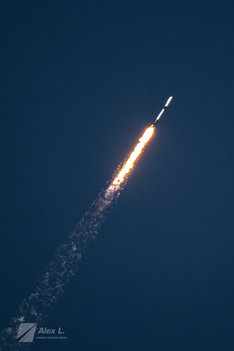 Alex L. 🚀 tweet media