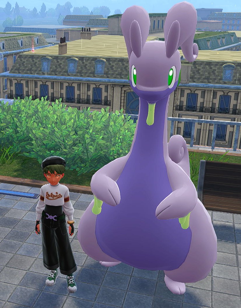 Pocchi🐶🦈 tweet media