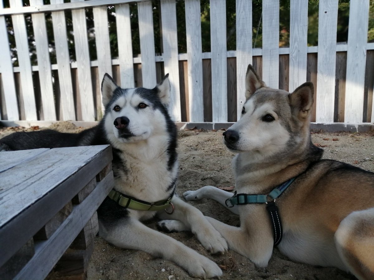 そらるぅⒸ♬ tweet media