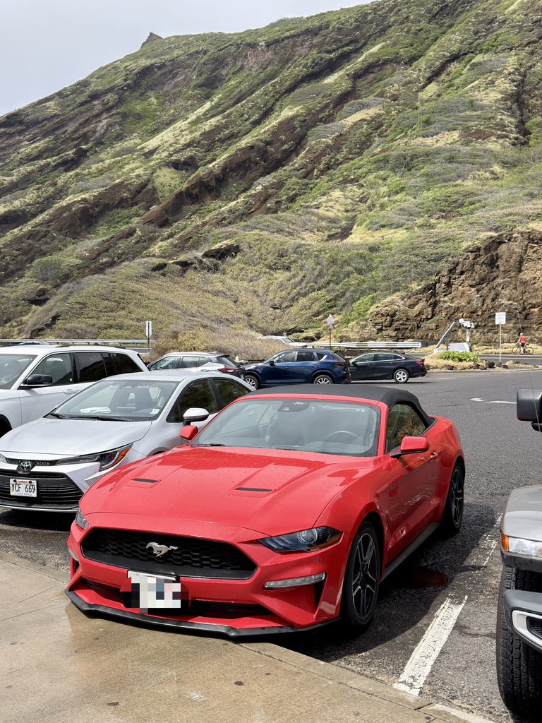 郭宇 guoyu.eth tweet media