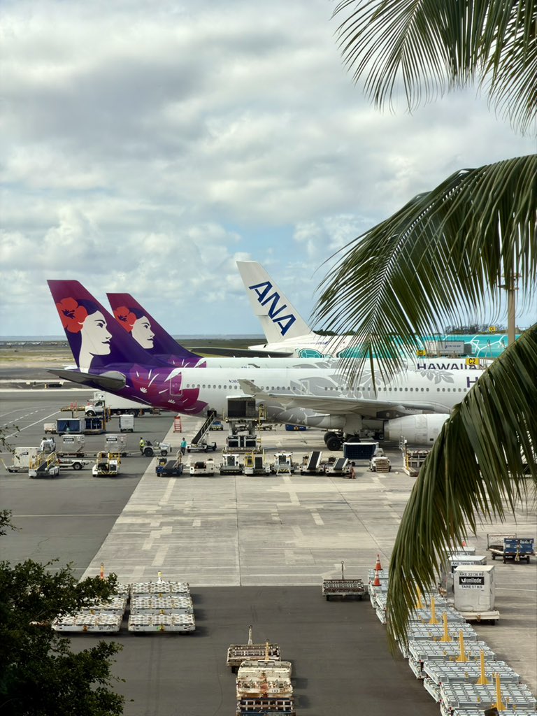 郭宇 guoyu.eth tweet media