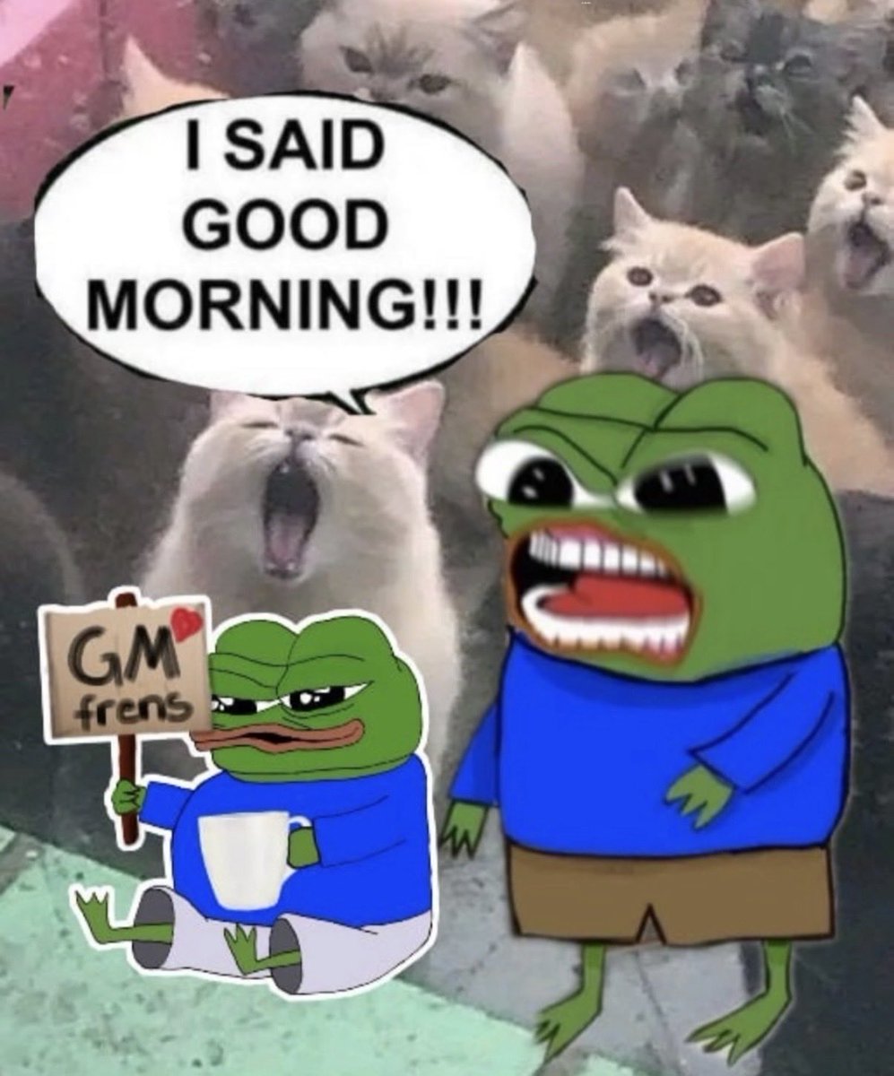 basedpleb tweet media