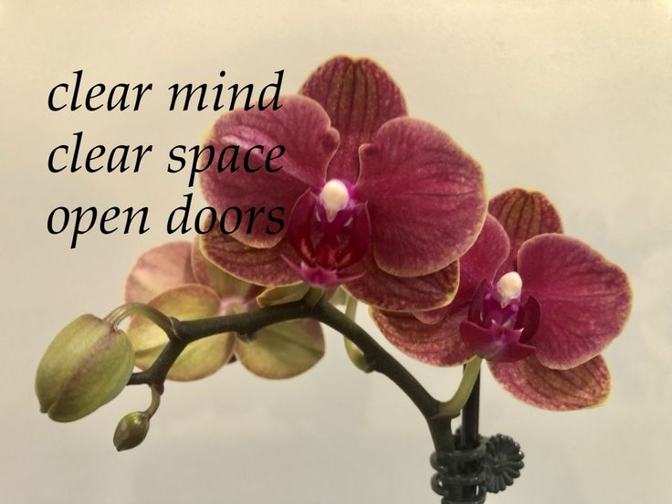 𝜗𝜚 nini (@ohmsbydeftones) on Twitter photo 