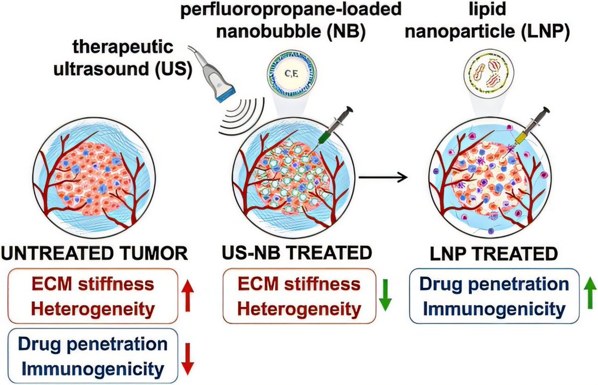 CWRU Biomedical Engineering tweet media