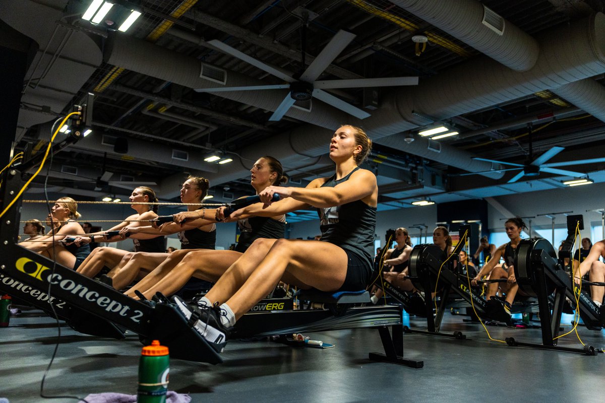 Michigan Rowing tweet media