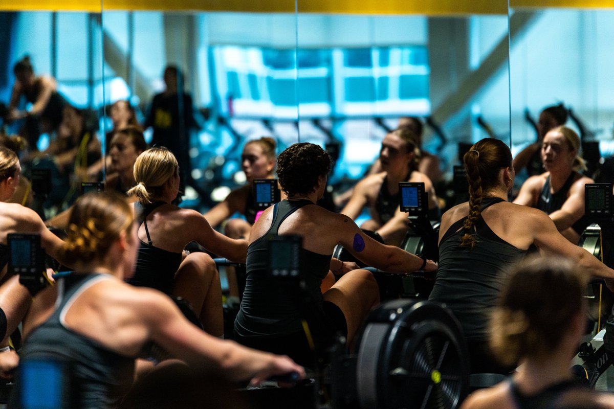 Michigan Rowing tweet media