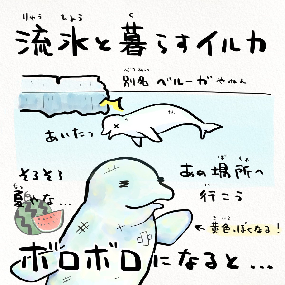 「脱皮」するイルカ 