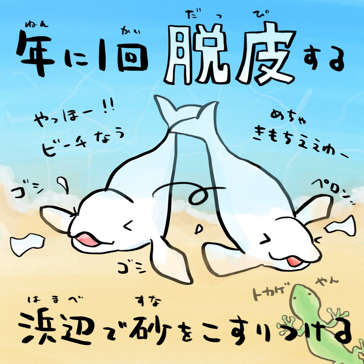 「脱皮」するイルカ 