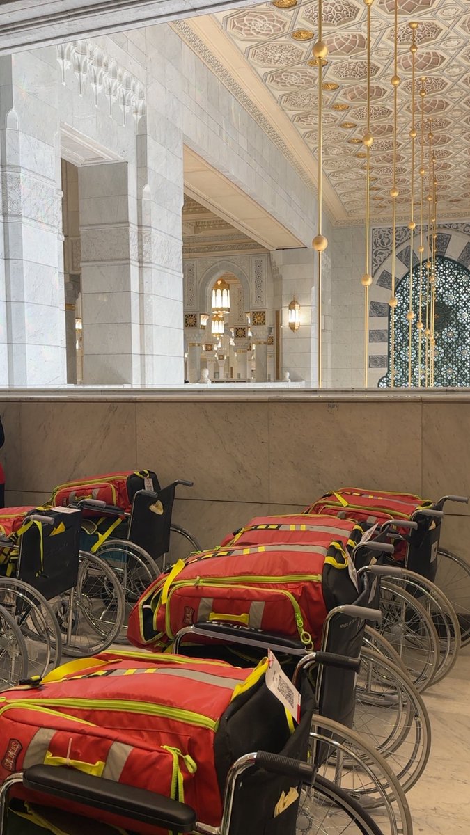 Menna gamil. tweet media