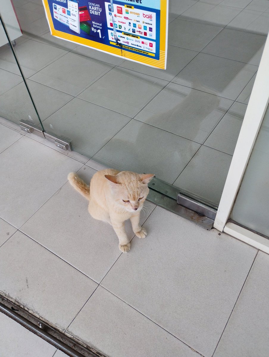 Sergiyu𓂆 (@lebaranceria) on Twitter photo 