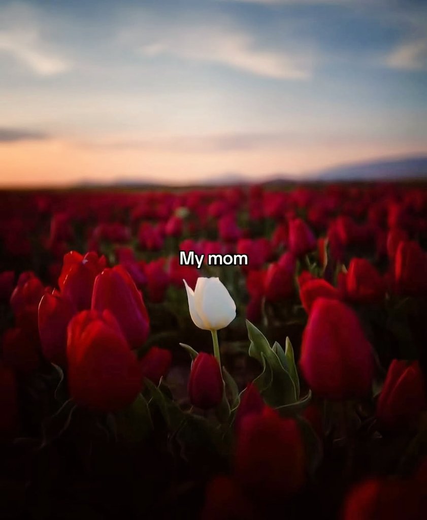 RT if you love your mom❤️❤️