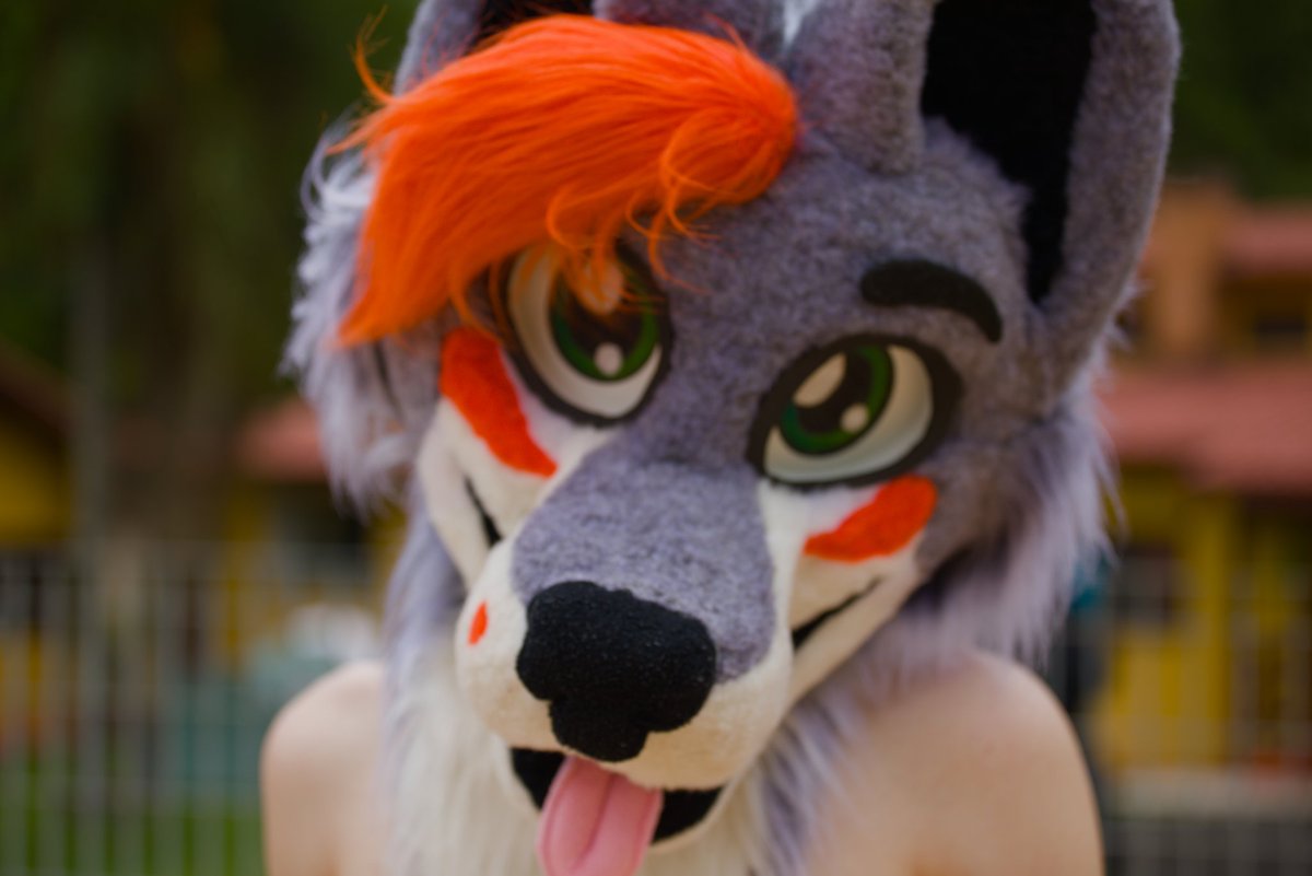 Fisake Wolf tweet media