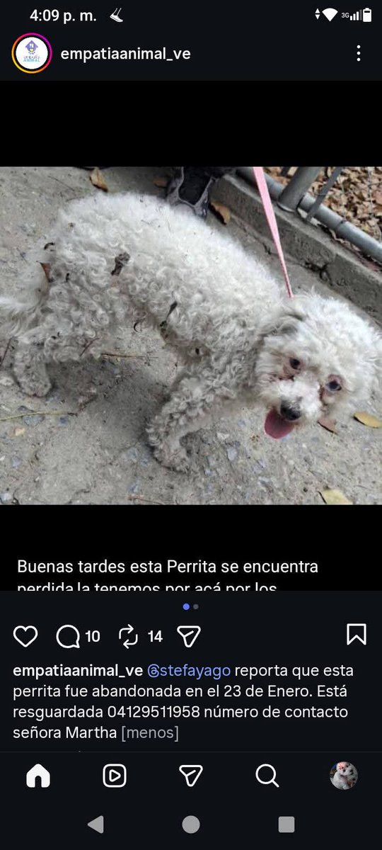 Puede estar EXTRAVIADA, 23 de Enero, Monte Piedad, Caracas