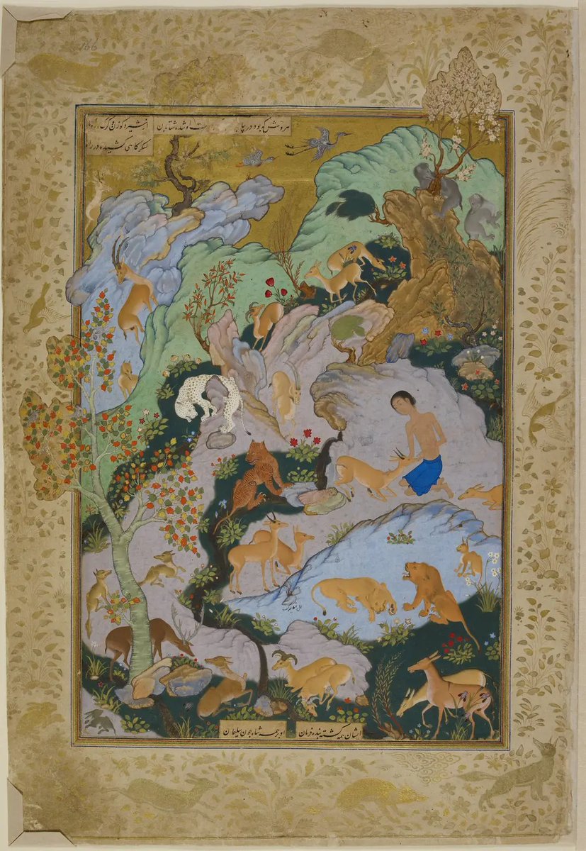 فؤاد tweet media